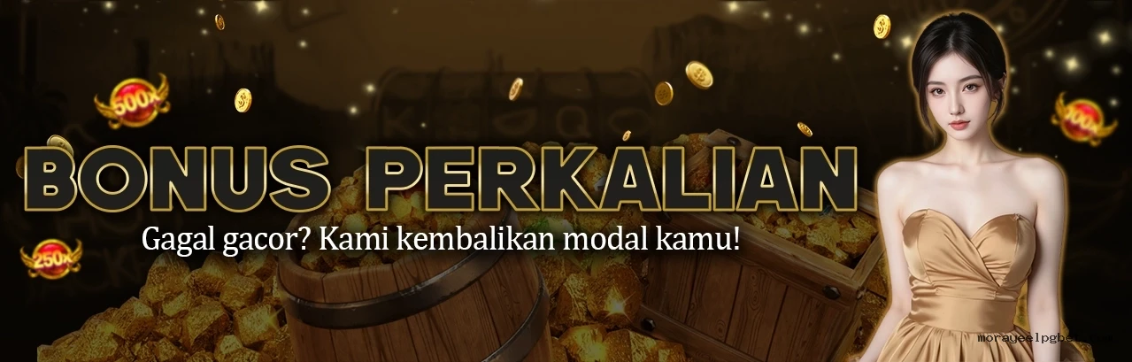 Central de dúvidas rápidas sobre o app Morayeelpg.com